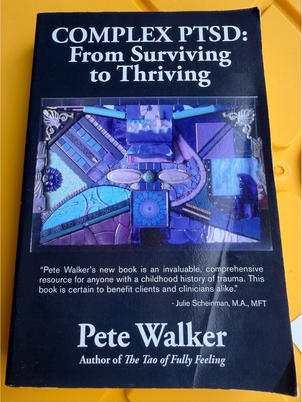 Complex PTSD: From Surviving to Thriving by Pete Walker - First Edition - A-7